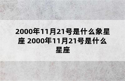 2000年11月21号是什么象星座 2000年11月21号是什么星座